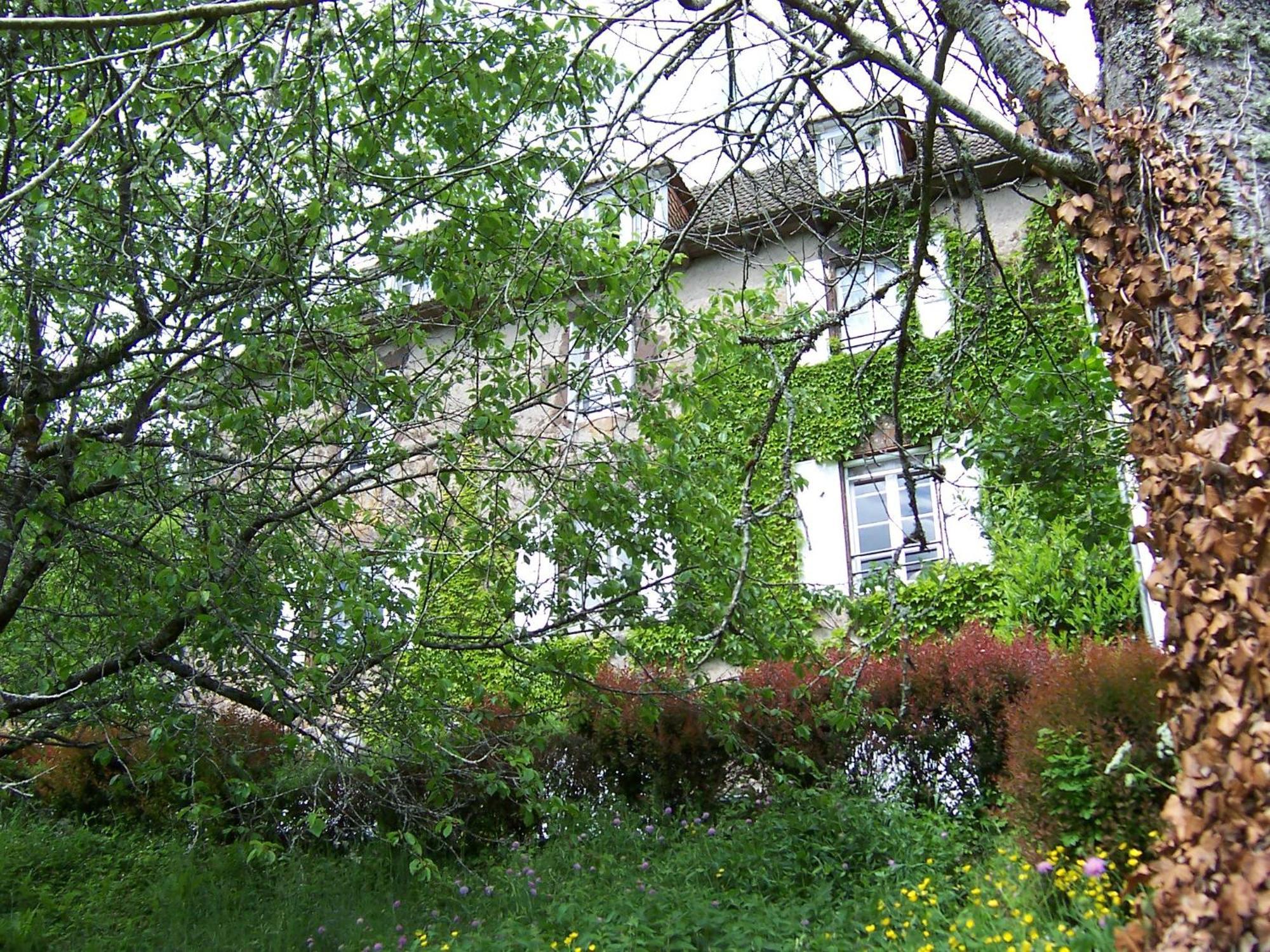 Auberge Hotel De Tournemire - Cantal Exterior foto