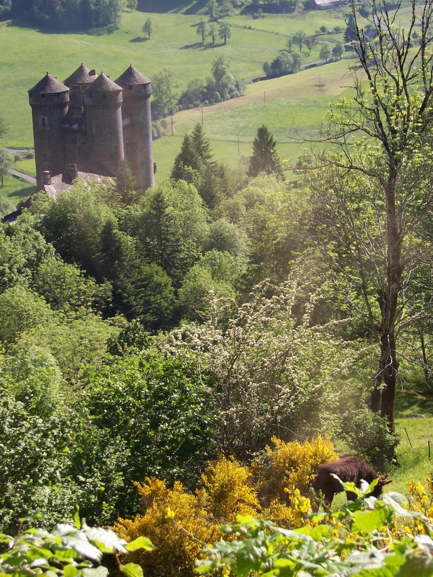 Auberge Hotel De Tournemire - Cantal Exterior foto
