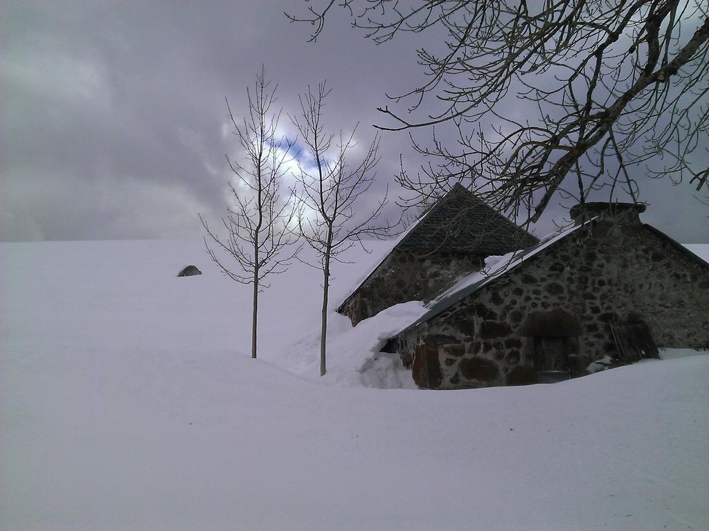 Auberge Hotel De Tournemire - Cantal Exterior foto
